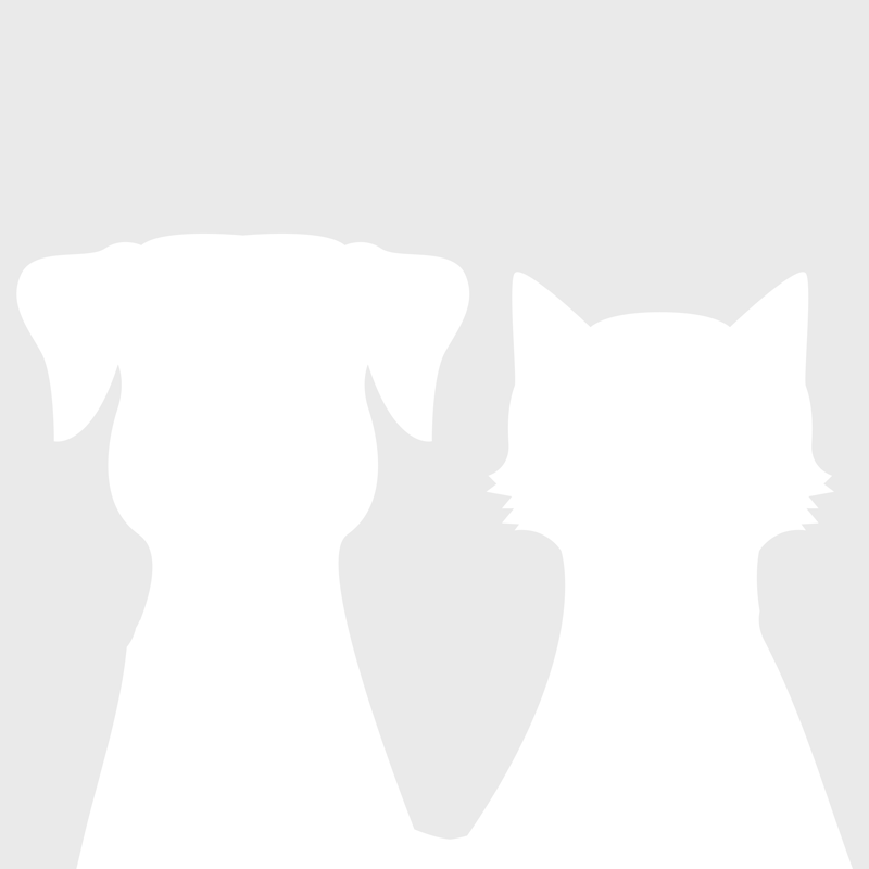 Chatterie des coons de l'ouanne