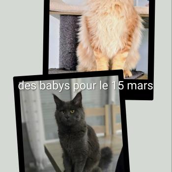 20260130_170009-COLLAGE~2