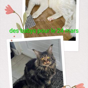 20260223_103143-COLLAGE~2