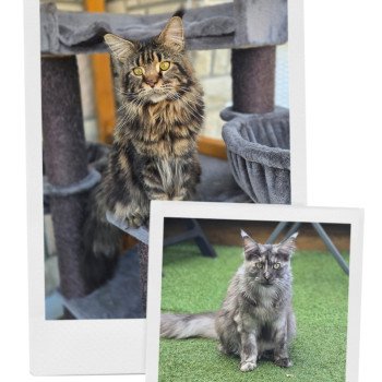 20250616_164047-COLLAGE