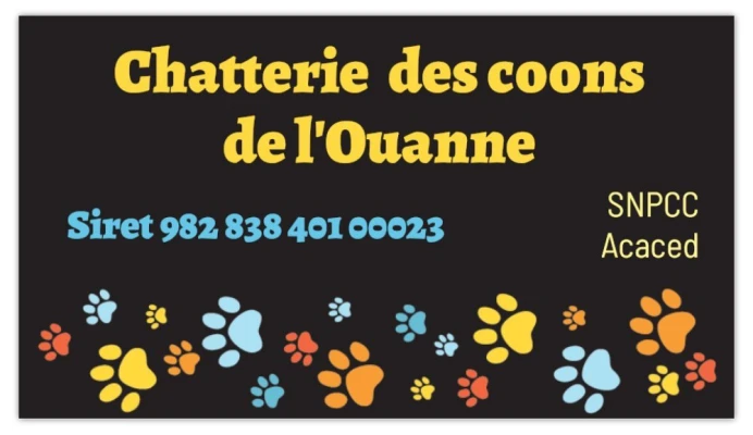 Chatterie Des Coons de l'ouanne