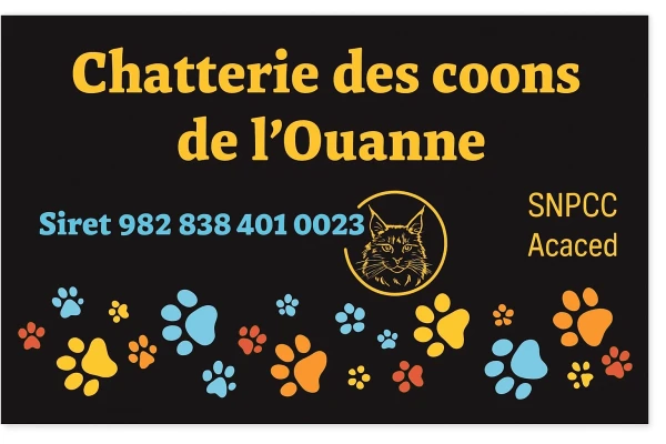Chatterie Des Coons de l'ouanne